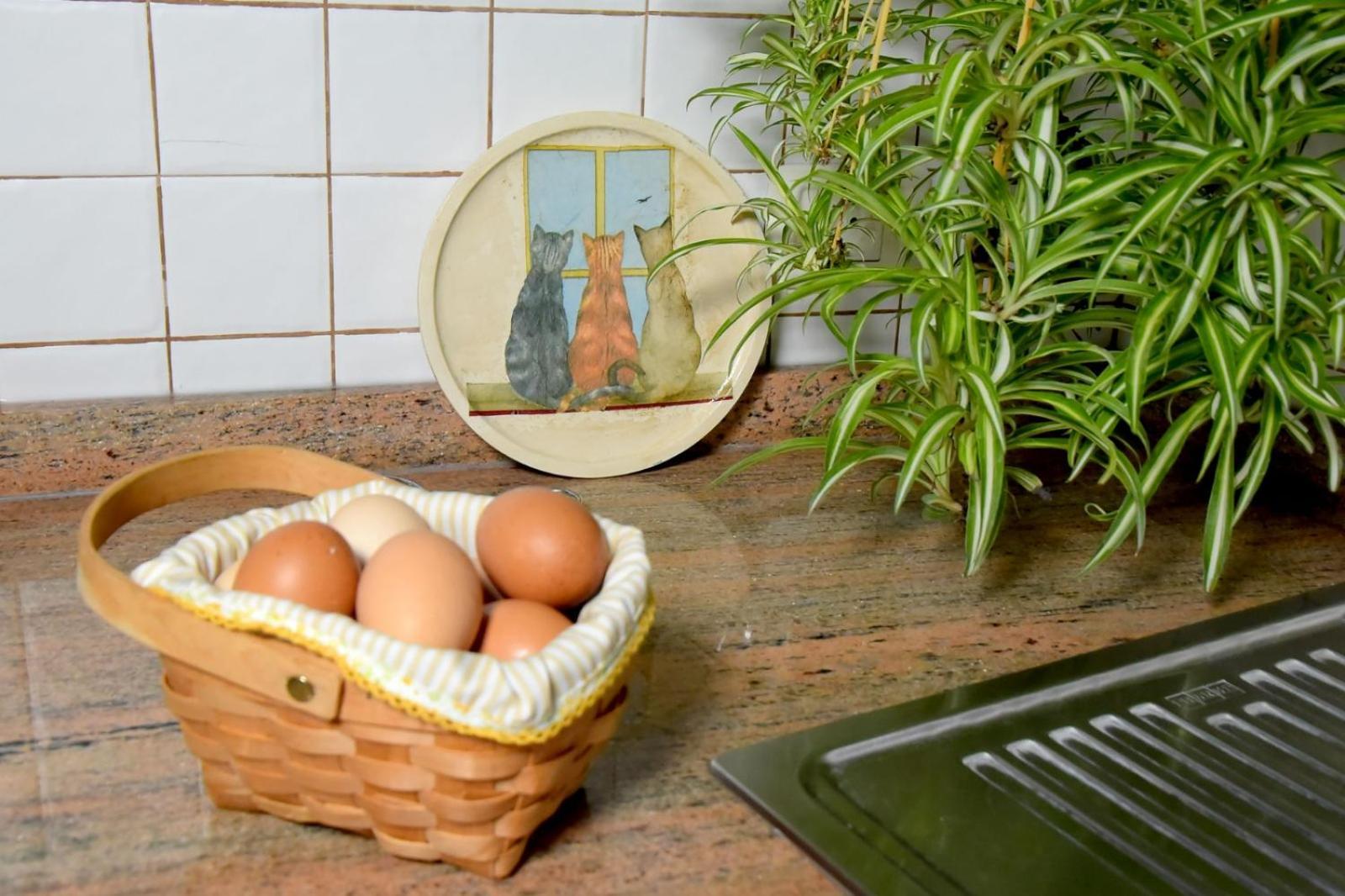 Romantic Hamlet Cottage With Private Pool La Fragua De Eliseo Канделария Екстериор снимка